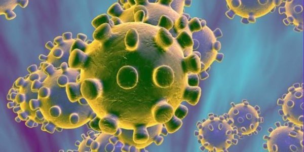 Image:Un virus d'origine scientifreak ?