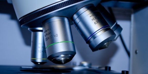 Image:Le SARS-CoV-2, sorti d'un laboratoire ?