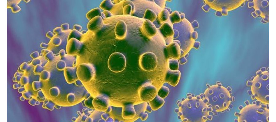 Image:Un virus d'origine scientifreak ?