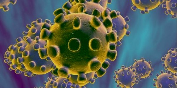 Image:Covid-19 : ils en parlent