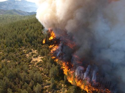 Burn-out climatique